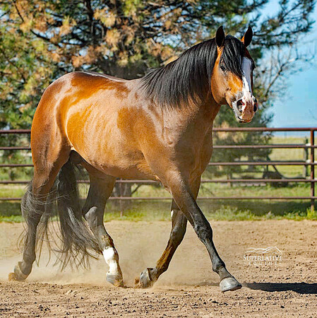 Florida Georgia Line